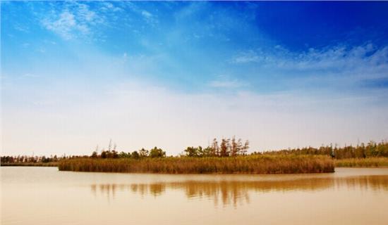 必一运动bsport体育