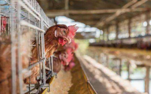 必一运动bsport体育