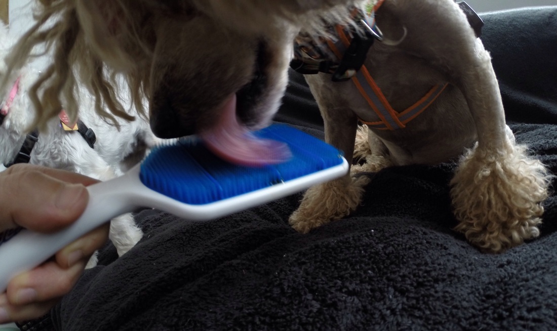 必一运动:中场中心受伤,银河战舰将如何面对多路豪强的围歼?(图2) 必一运动