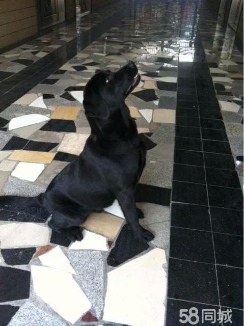 【必一运动官网】姆希塔良:我证明了本人是顶级球员(图2) 必一运动官网