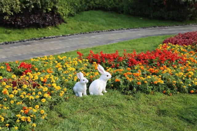 必一运动|荆州公安县开展出租屋及校园周边经营场所消防安全治理行动(图3) bsports必一体育