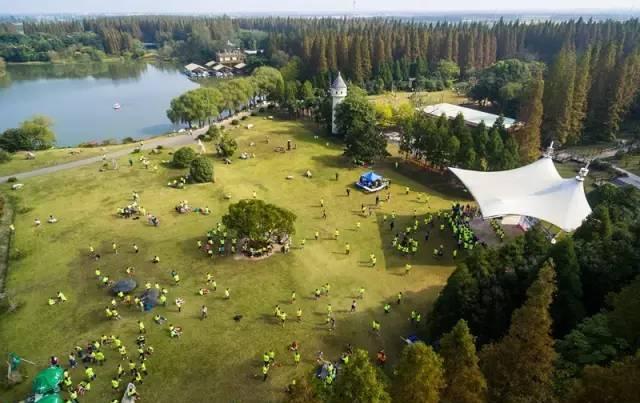 【bsports必一体育】以习近平总书记重要讲话精神为指引狠抓落实 统筹抓好全区疫情防控和经济社会发展工作(图4) 必一运动bsport体育