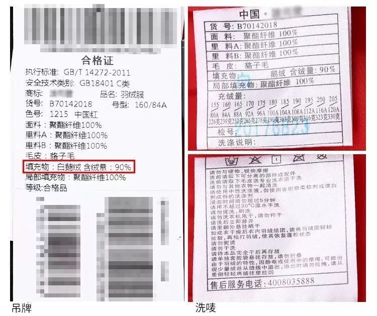 鲁能三老将被重用加速中生代球员转会 多名中生代球员已正式离队“必一运动”