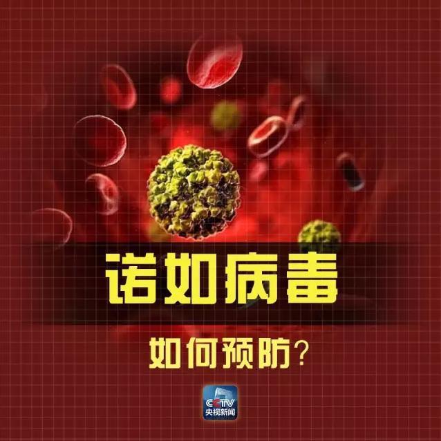 bsports必一体育_曝恒大接近签约塞尔维亚国脚 外媒:他肯定去中国(图2) 必一运动官网