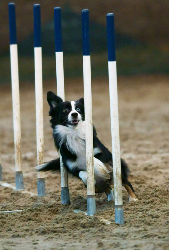 西蒙尼:这是曼朱基奇在马竞的最佳竞赛“必一运动官网”(图2) 必一运动官网